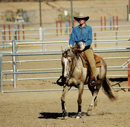 mustang horse facts. Today#39;s Horse Facts: Lynn Baber, Another Horse Facts Lover